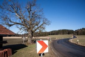 Curve road warning sign
