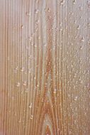 wet wooded board