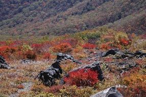 wonderful autumn landscape