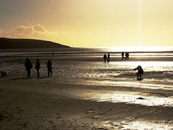 Silhouettes of people on the beach at dusk