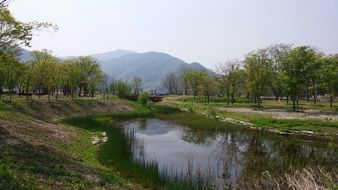 nature rest river