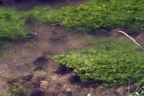 water movement in a reservoir