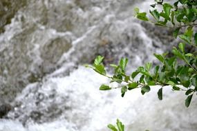 stunning river water