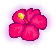 flower hawaiian rose drawing