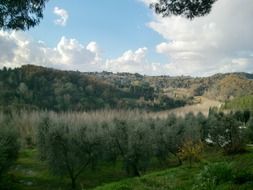 panoramic view of colorful idyllic landscapes in tuscany