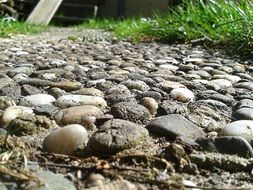 pebble in garden walk path