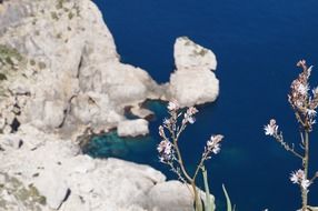 mallorca cap formentor
