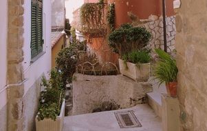 Beautiful plants and balconies on the alley