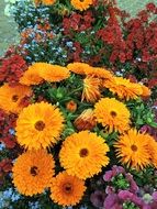 large bunch of bright flowers