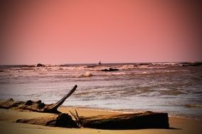 beach log pink sunset scene