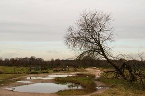 rain in the reserve