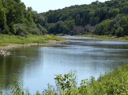 Thames in the forest