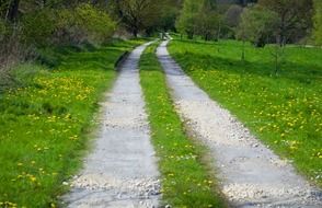 dirt road along the green meadows