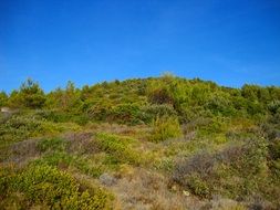 Cloudless sky over the hill