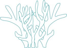 coral underwater drawed