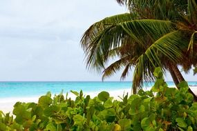 caribbean relaxation beautiful coast