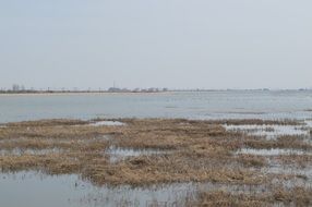 Dead grass on lake landscape and cloudy sky