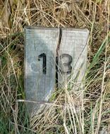 Thirteen number on a wood among the colorful grass