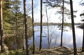 spectacular beautiful forest lake