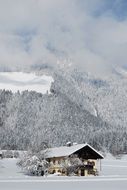 snowy mountain forest with chalet scene