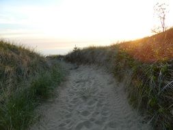 Sandy path in summer