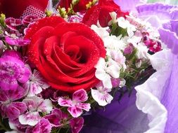 Bouquet of beautiful red roses