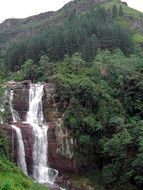Picturesque waterfall in sri lanka