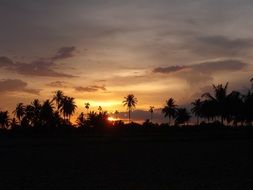 Landscape of Thailand in the sunset time