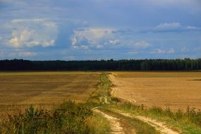 dirt road among rural areas in Russia