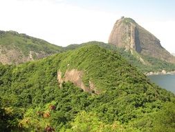 distant view of the mountain Sugarloaf in Brazil