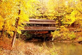 golden autumn covered bridge