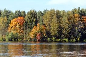 reflection of autumn forest on the surface of the river