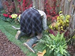 gardening women