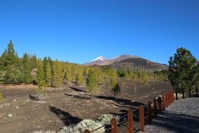 Tenerife volcano