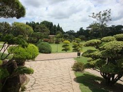 park landscape