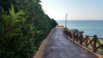 walking path in the park on the ocean in geoje