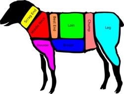 sheep, lamb, colorful butcher chart