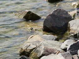 natural stone by the river