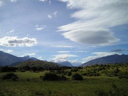 landscape of green meadow and bush in front of distant mountains beneath blue sky in new zealand