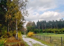 autumn in the countryside in Germany