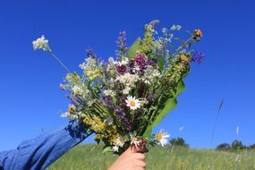 bouquet of wild flowers in her hand