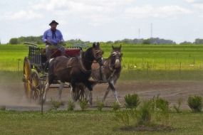 landscape of Gaucho with horses in the countryside in Argentina