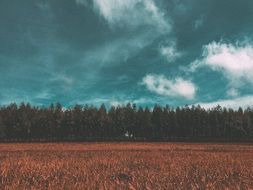 thunder clouds over agricultural field