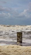 paal on the beach of the north sea