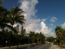 highway along the palm trees in Cancun, Mexico