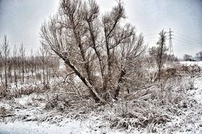 quite winter landscape