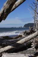 terrific beach ocean