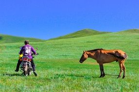 a man on a motorcycle and horse among the green steppe
