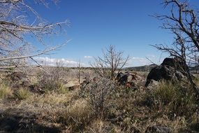 landscape of the desert in utah