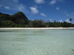 palm trees and warm sand to Seychelles